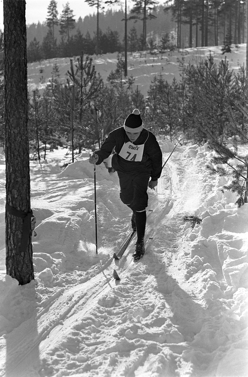 Skiløper med startnummer 74 i sporet under NM i langrenn for juniorer på Eidsvoll 1963.