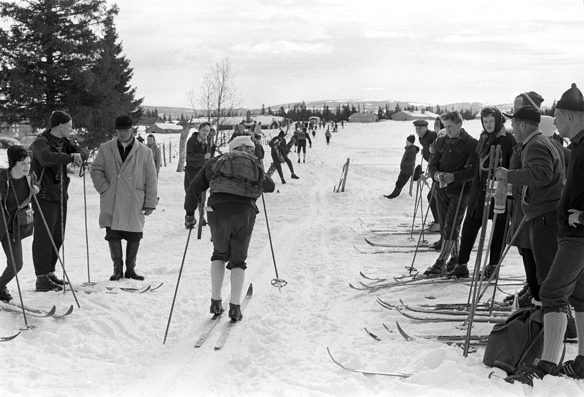 Deltakere i sporet. Publikum langs løypa. Birkebeinerrennet fra Rena til Lillehammer 1963.