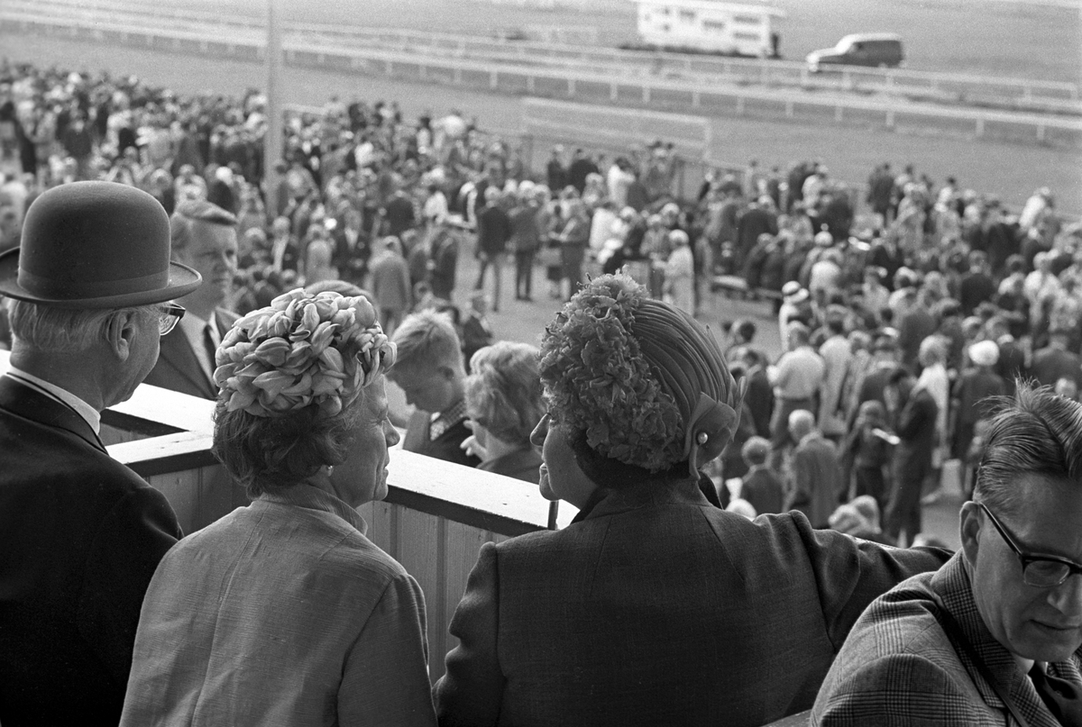 Damenes hatteparadedag under Norsk Derby på Øvrevoll galoppbane i Bærum 20. august 1967.