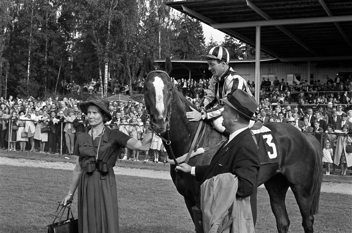 Vinner av Norsk Derby? på Øvrevoll galoppbane i Bærum 20. august 1967.