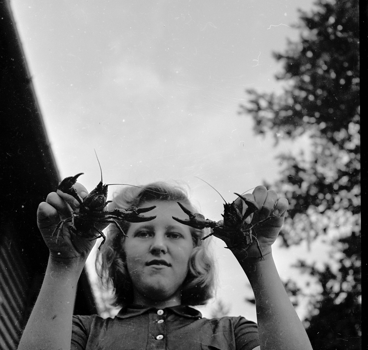 Dame med kreps i hver hånd.
Fotografert 1958.