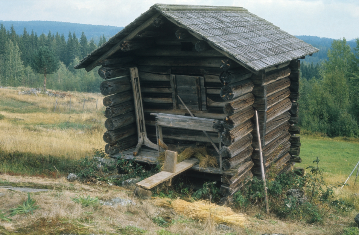 Tørkehuset, "kjona" på Harstadsetra i Vestmarka. Mellom kjongangen og bakken ligger "repa"/"repekammen", som ble brukt til å rispe av frøene etter tørking på staur.