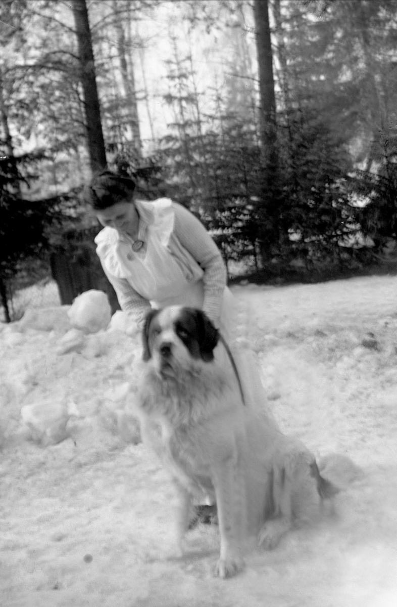 Gruppeportrett, kvinne med hund utendørs. Fanny Schjelderup med en St. Bernhard.