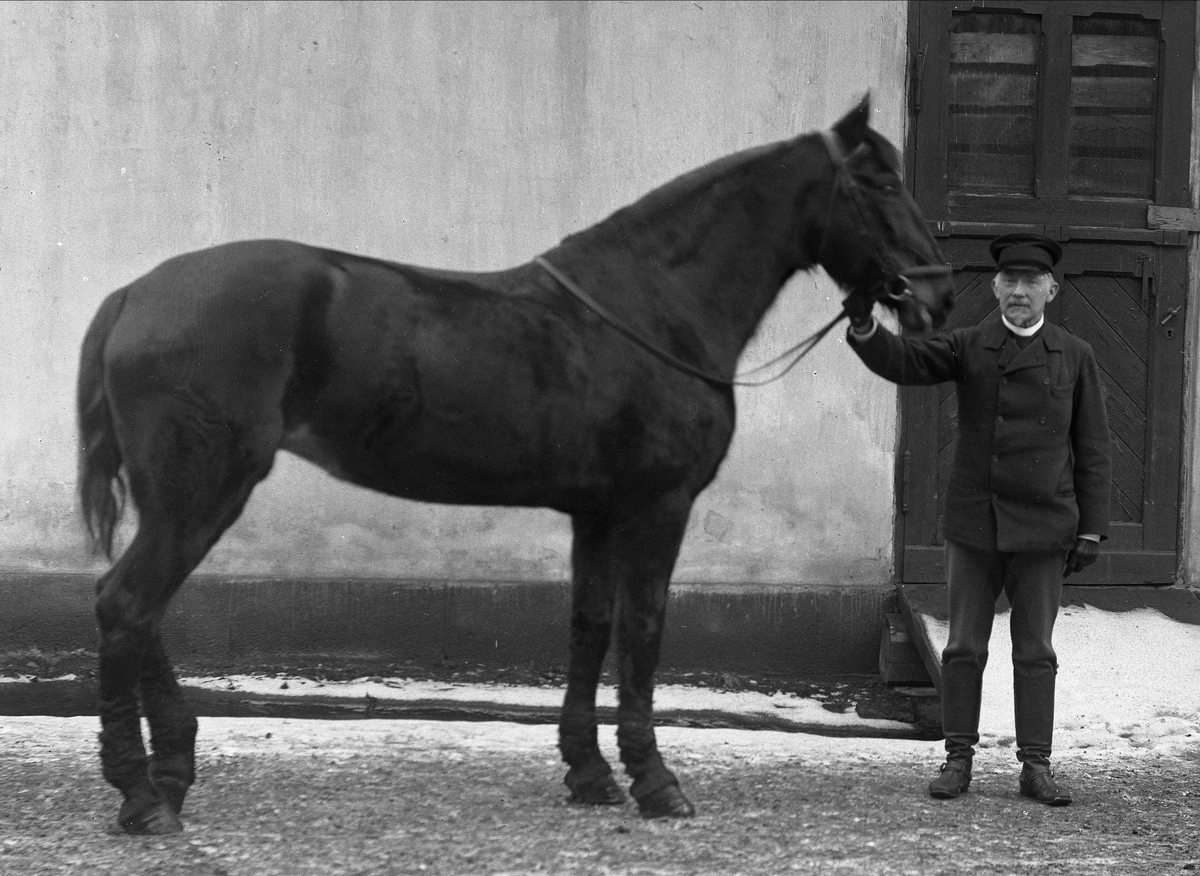 Portrett, mann med ridehest.