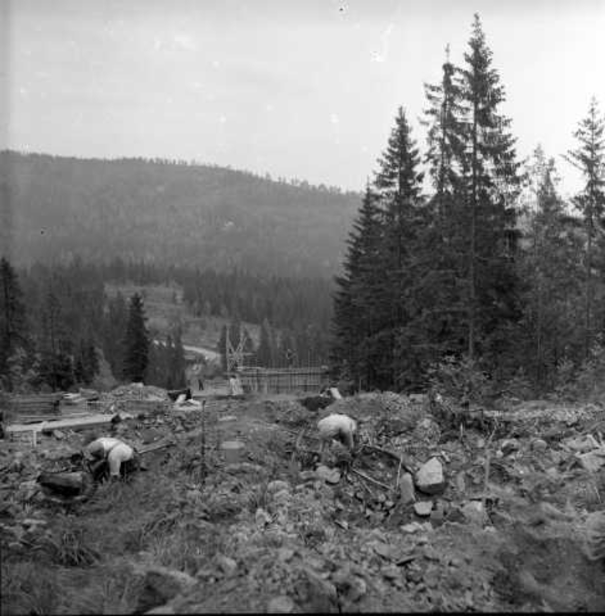 Hoppbakke, den nye Midtstubakken, Oslo 1956.