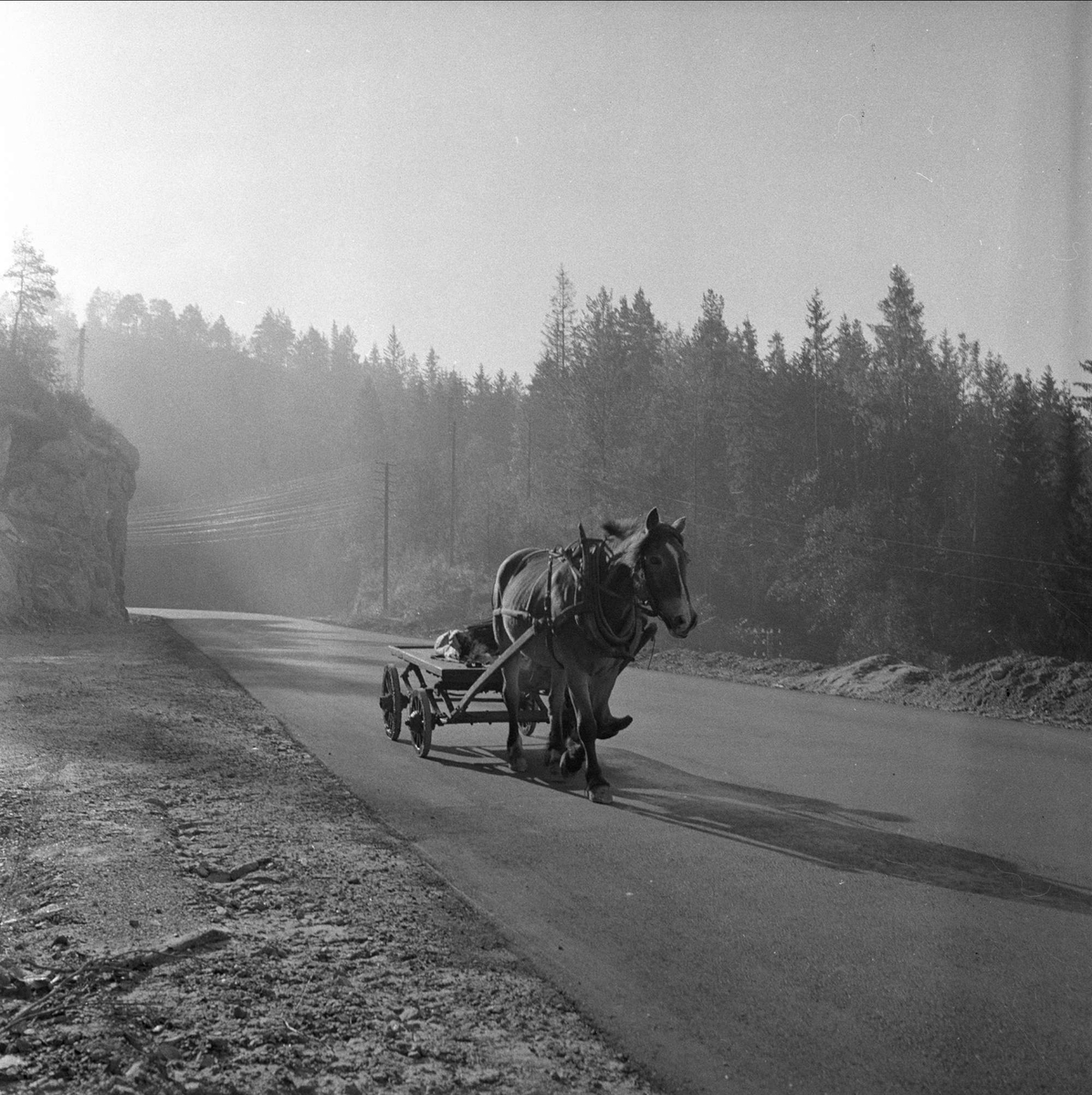 Hest og vogn i Telemark, 01.10.1956