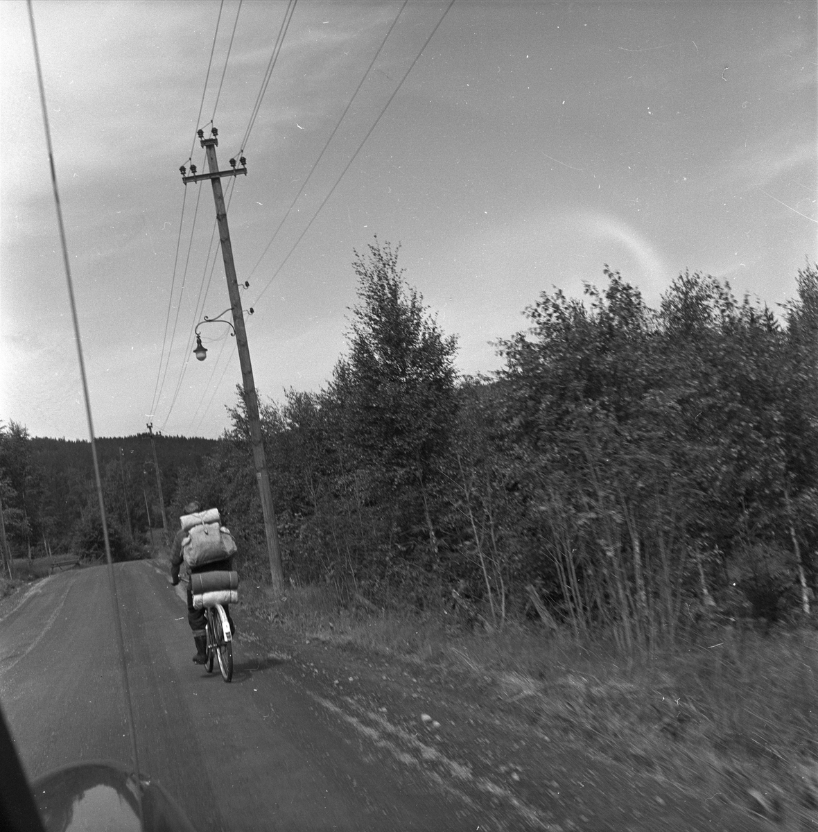 Bærplukking, Oslo, 25.07.1958.