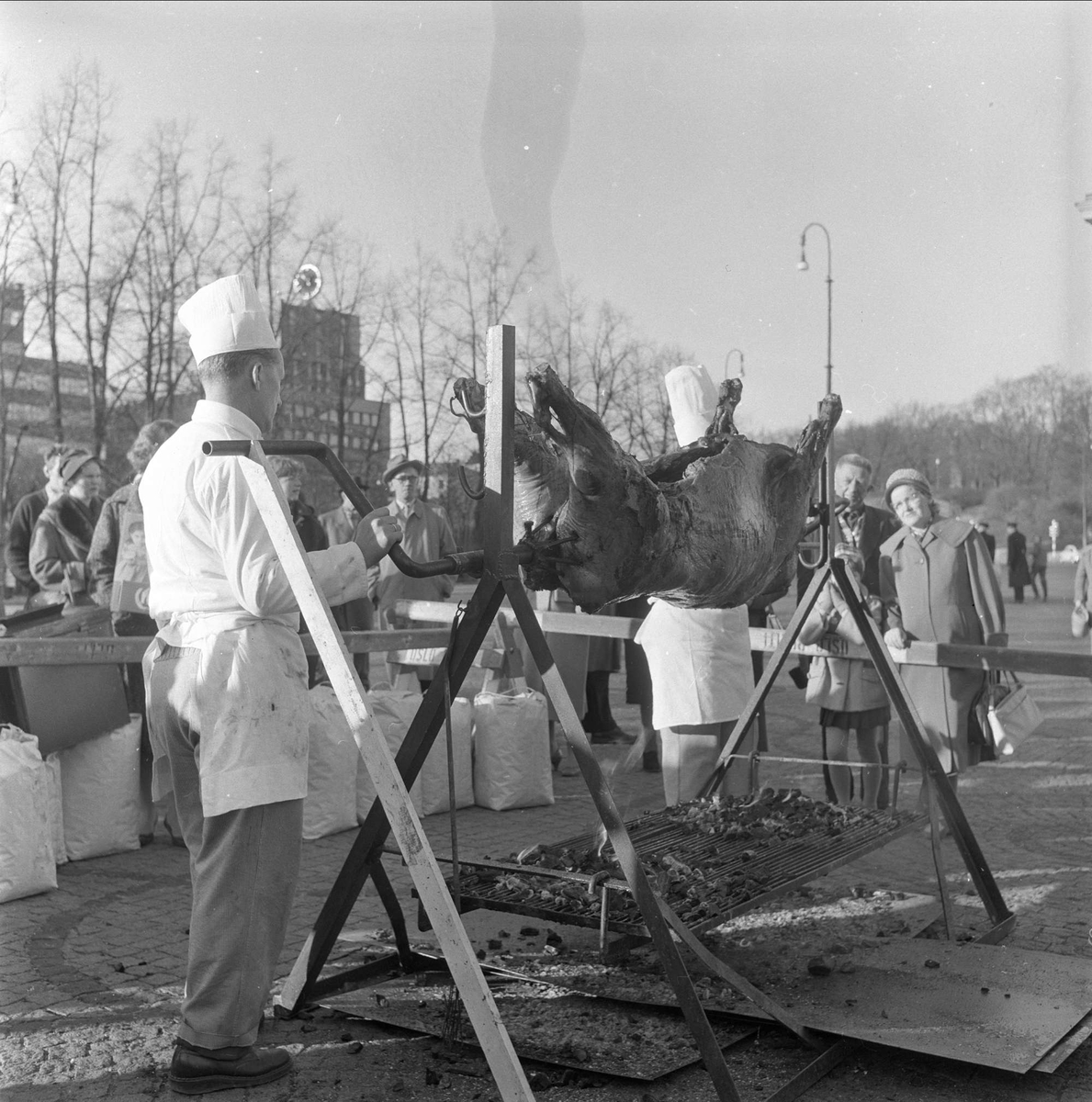 Dagbladets oksefest, folkefest, grilling,  Universitetsplassen, Oslo, 05.11.1959.