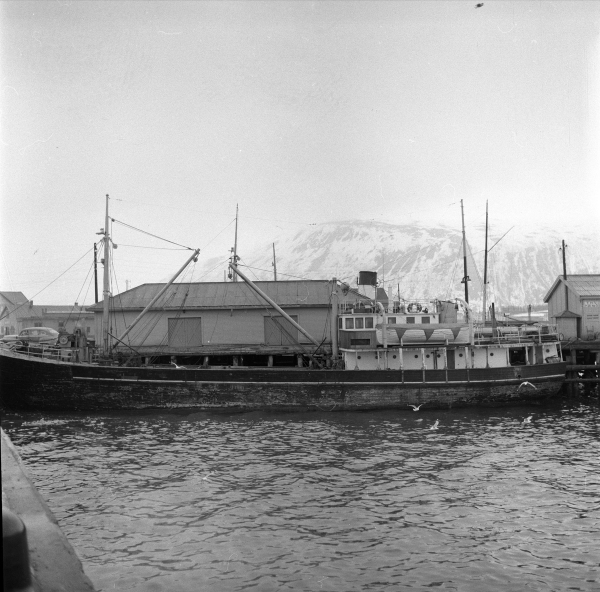 M/S "Rystrøm". Båt ved kai. Før 1954.