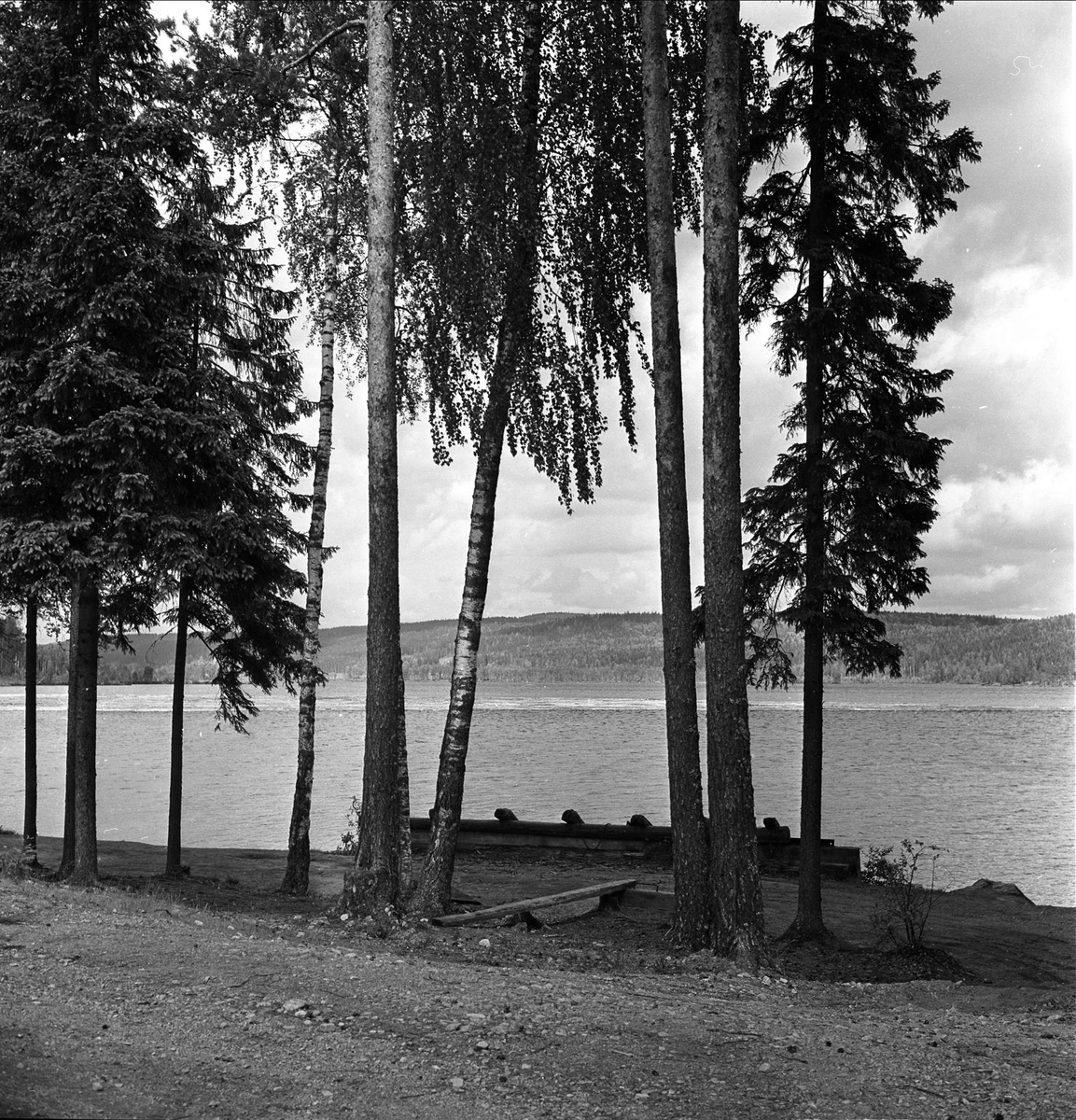 Sammenslåing av Aurskog og nabokommune. Landbruksarealer, Aurskog, januar 1964.