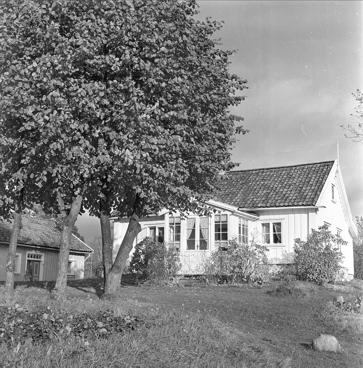 Høvikodden,  hus, tuntre, Høvik, Bærum, november 1962.