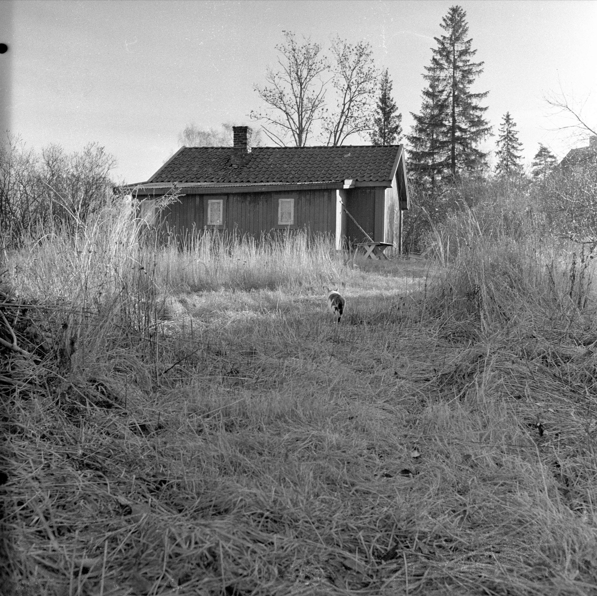 Bærum,  05.11.1956. Ny vei. Liten stue
.