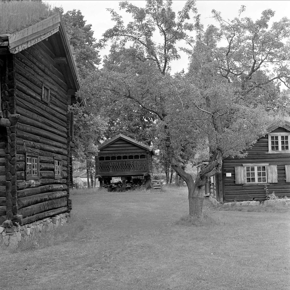 Drammen, august 1962. Drammensdagen. Gamle tømmerhus.