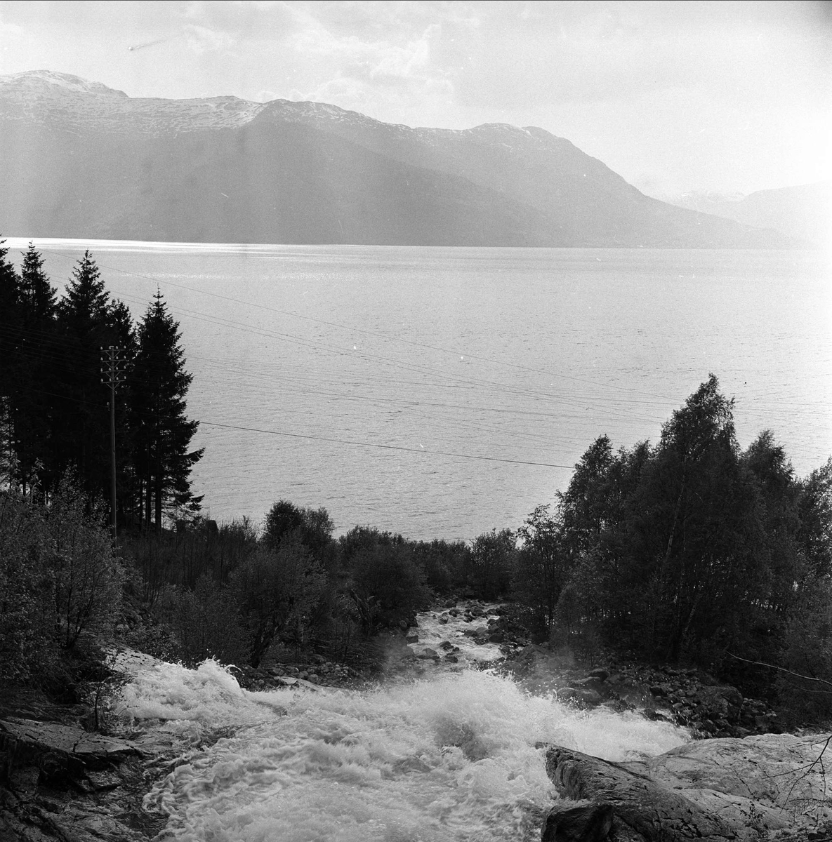 Sørfjorden i Hardanger, Hordaland, mai 1963. Elv som renner ut i havet.