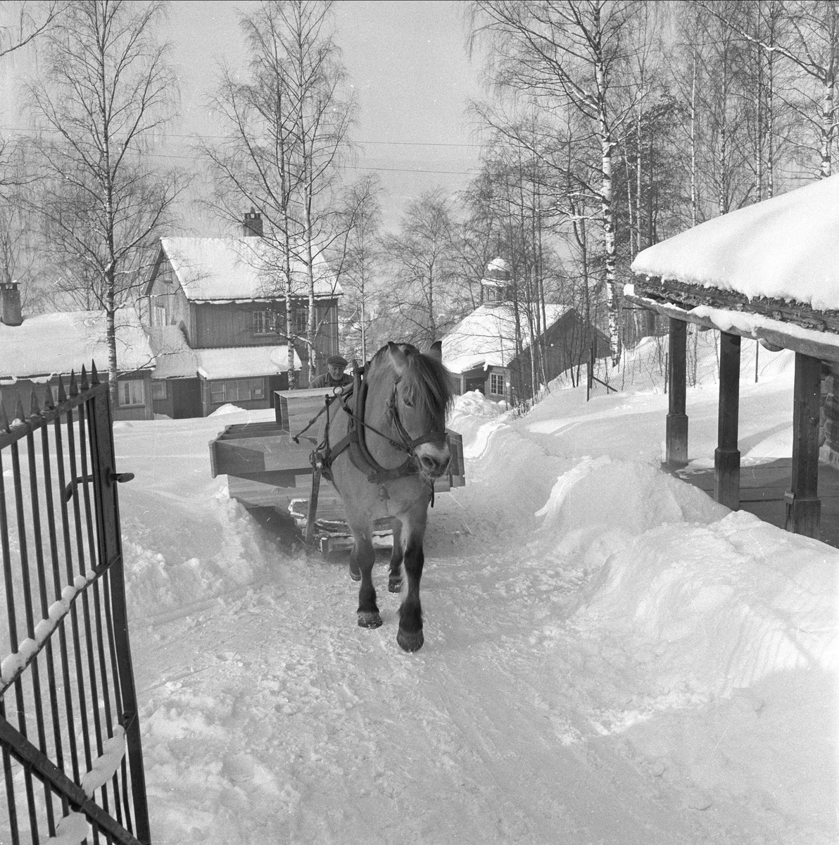 Lillehammer, Oppland. Maihaugen, De Sandvigske Samlinger. Hestekjøretøy.