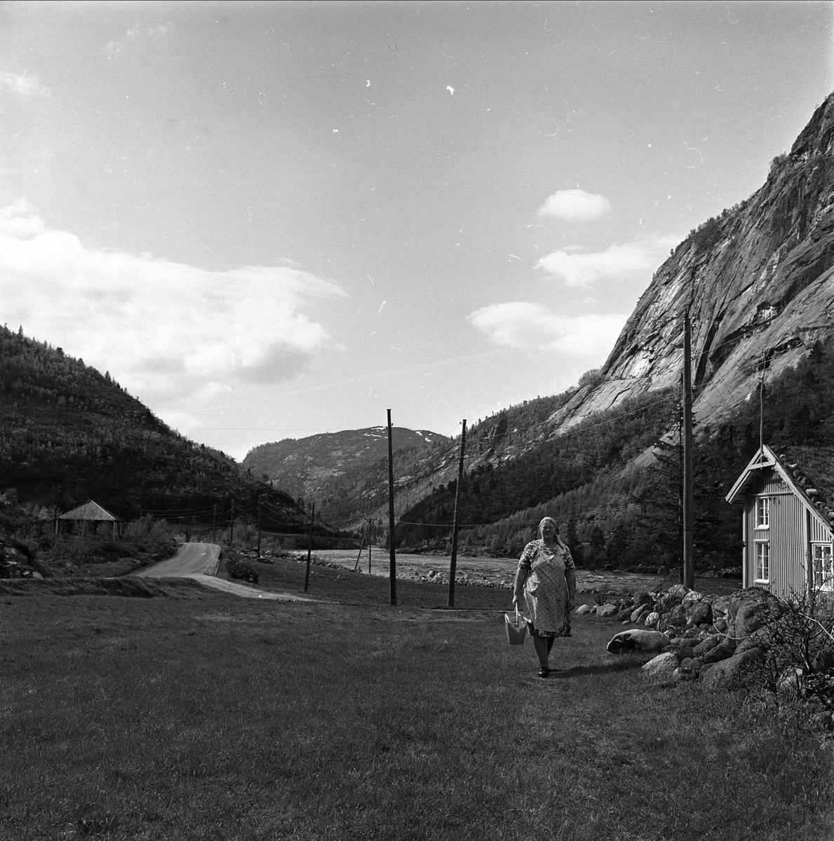 Bykle, Aust-Agder, 30.05.1963. Kvinne i landskap.