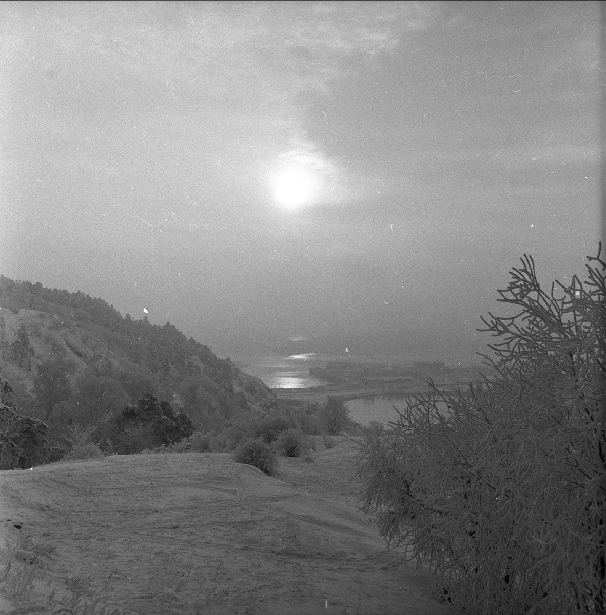 Tyrifjorden friluftsområde, Buskerud, juli 1954. Landskap.