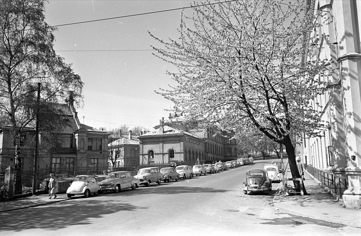 St. Olavs gate 32, Oslo, mai 1964. Gatebilde.