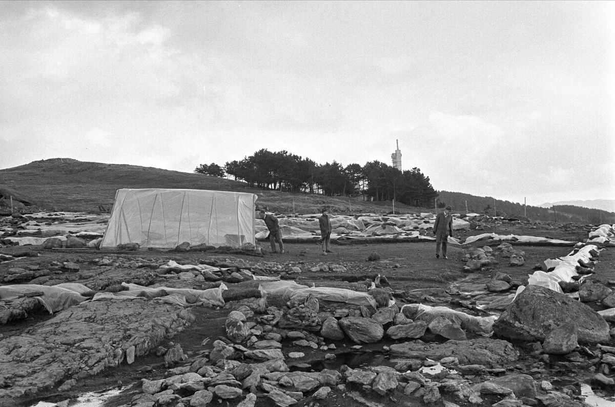 Fra Stavanger november 1967. Nytt boligfelt med et telt.