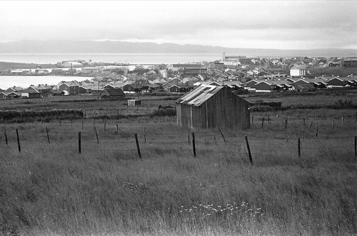 Fra Vadsø september 1968. Vadsø sett fra en bondegård like ved.