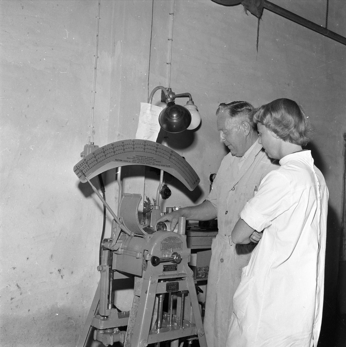 Brumunddal, august 1958, Nora Fabrikker,  produksjon, innhøsting og konservering.