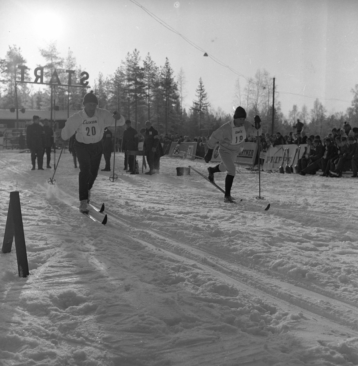 Sverige, Falun, februar 1963, Svenska Skidspelen.