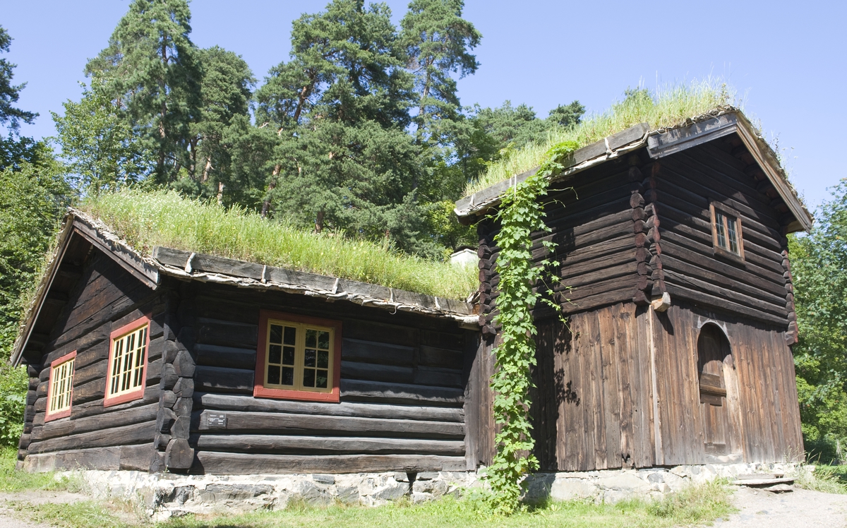 BARFRØSTUE FRA GAMMELSTU TRØNNES I STOR-ELVDAL, 1670 
Overført til museet 1903, gjenoppført 1905 

Huset har fått navn etter barfrøet, et toetasjers tilbygg som er plassert foran huset og danner inngangsparti. Denne konstruksjonen forekommer bare i Østerdalen og i tilgrensende trakter i Sverige. Barfrøet ble gjerne bygd på et eksisterende hus, som her, og var på moten å bygge i noen tiår rundt 1800. Det ble brukt til oppbevaring av klær, redskaper og utstyr. 

På Gammelstu Trønnes har det stått hele tre barfrøstuer. Museets stue var sommerstue, en større og nyere var vinterstue, og den minste og eldste var drengestue. 

Huset hadde opprinnelig en eldre type planløsning, med tre rom – forstue, kove og stuerom – men det har blitt ombygd flere ganger. Inngangsdøra har blitt flyttet, og nå kommer man rett inn i stuerommet via barfrøet. En vegg har blitt tatt ned, slik at huset nå består av bare to rom – stuerommet og et langt, smalt kammers. Sengene står i kammerset. Det er også et loft over kammerset, der det er flere soveplasser. Stuerommet har panelte vegger og himling, og store møbler og benker er plassert langs veggene. Rommet har peis, og en etasjeovn av jern. Rett til høyre innenfor døra står et stort melkeskap. Veggpanelet, inventaret og jernovnen er trolig fra 1808. Over høysetevinduet står innskriften: «Halvor Tollevsen Ingebor Nielsdatter Trønnes». Tvers overfor er stuas andre høysete, og her står det: «Denne Stue blev opbygget aar 1670 og Malet aar 1808»

(Tekst hentet fra By og bygd 43, 2010)