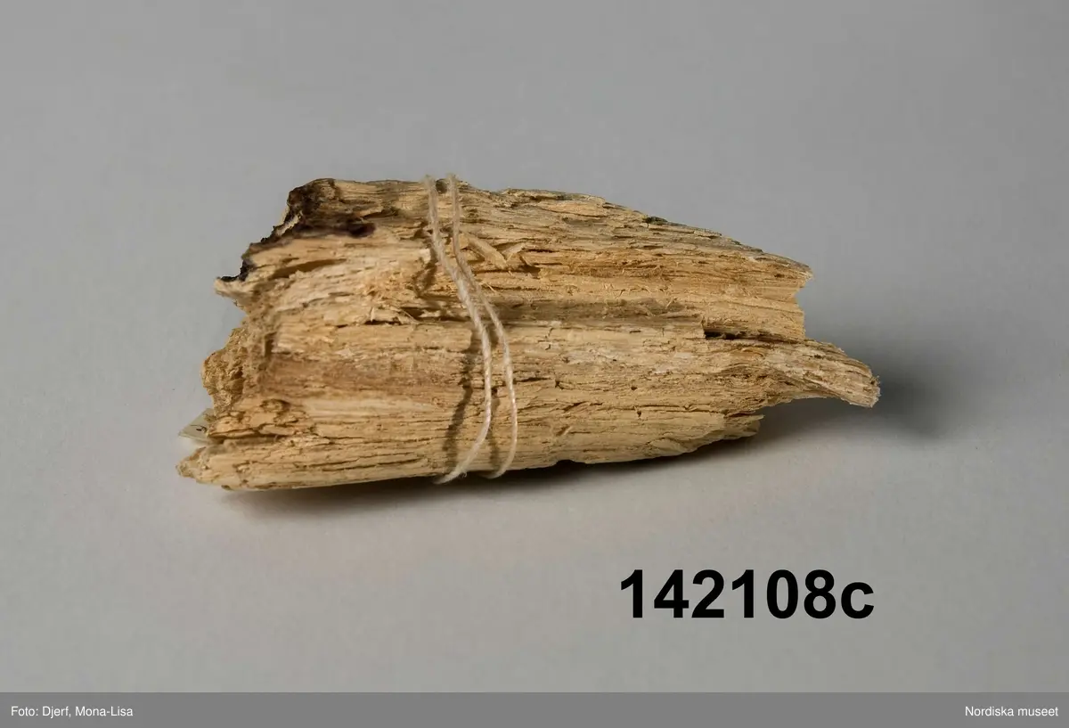 Huvudliggaren:
"'Murken björkstubb', 3 bitar, anv. som botemedel mot äggvita, fr. Gävle. Gåva 3/1 1923 av Fru Kristina Westberg, Gävle."

Katalogkort:
"'Murken björkstubb' 3 bitar anv. som botemedel mot äggvita. B: 'Pulvriserades och togs in torrt.' (Hagb. nr 42)."

Bilaga:
Tillför ingen ytterligare information.
