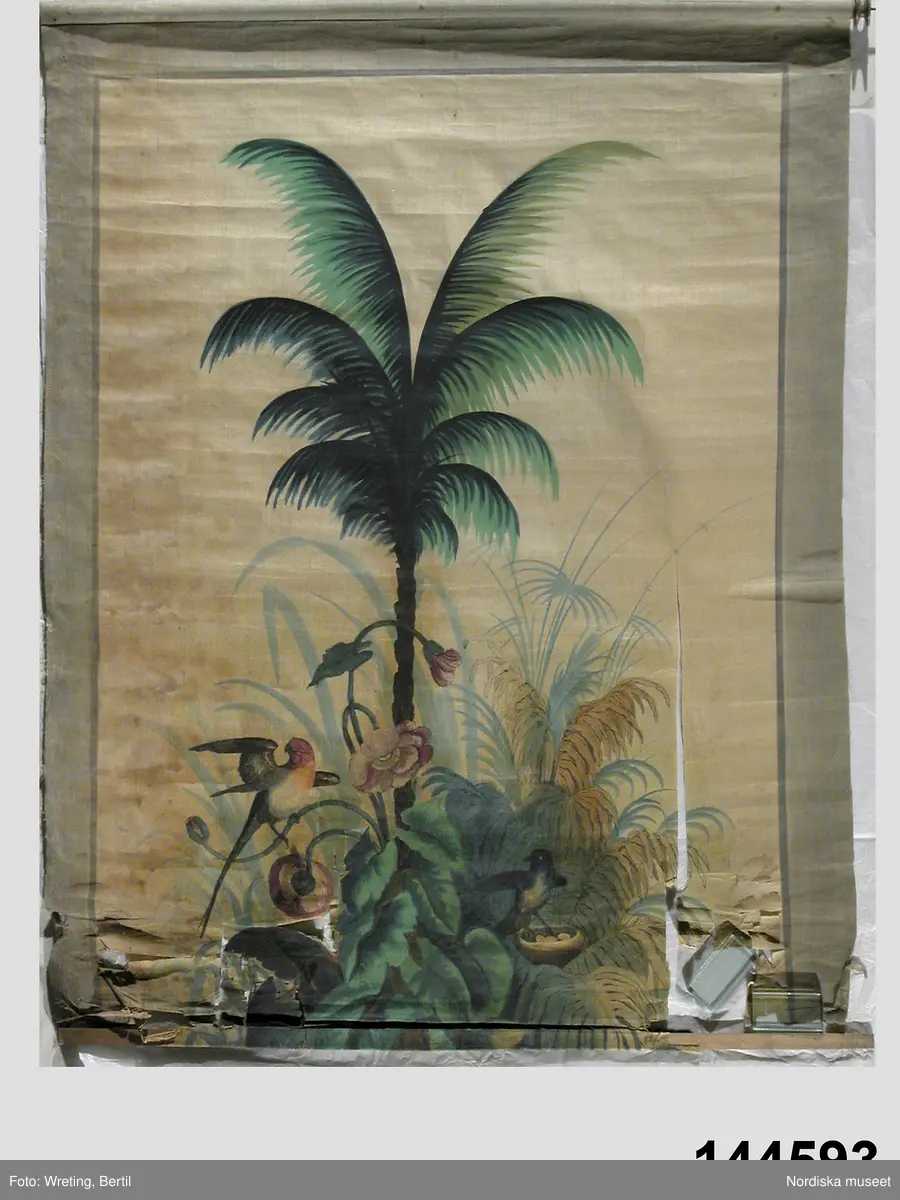 Växt, träd, palm, blomma, blad.
Djur, fågel, papegoja, fågelnäste.
