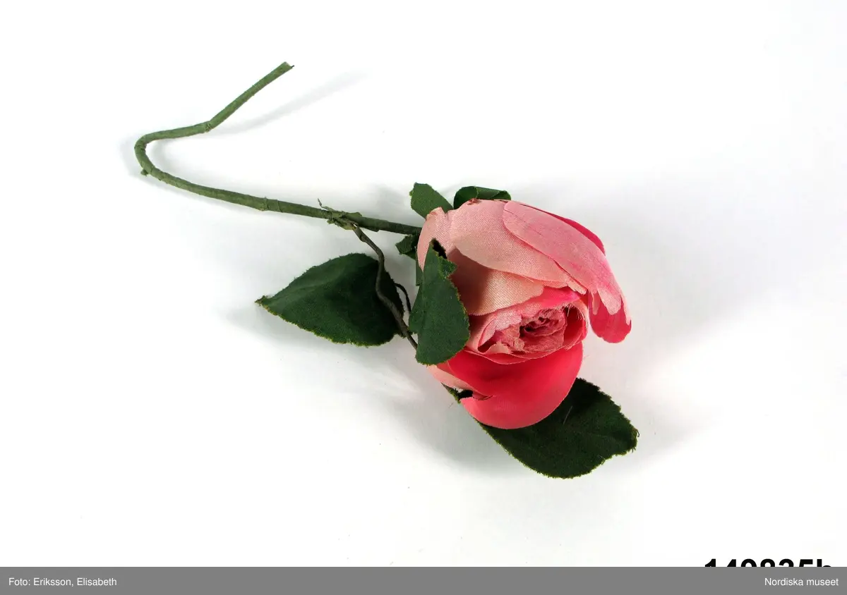 Blomma