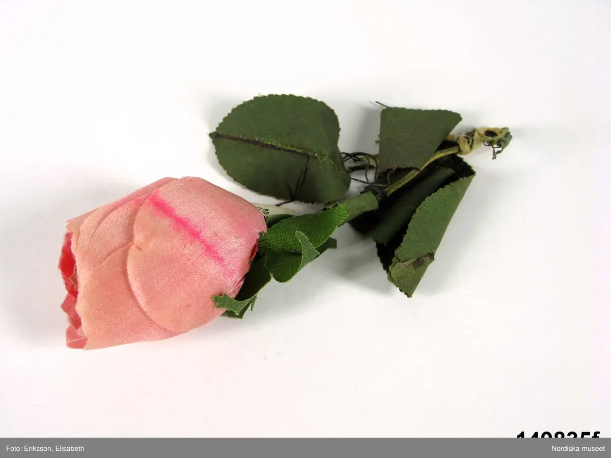 Blomma