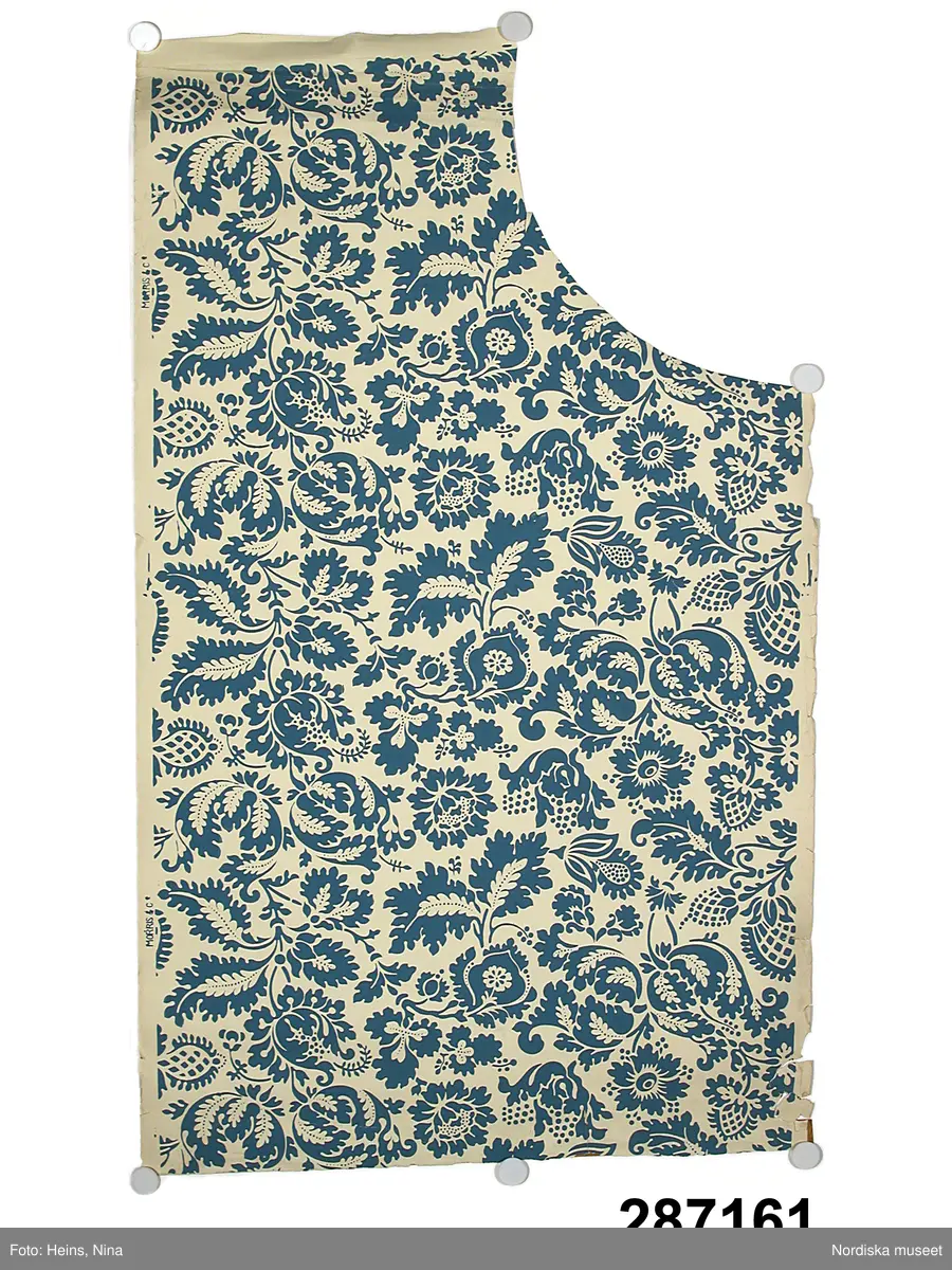 Växt, blomma, blad.