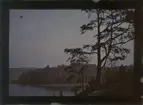 Aftonstämning vid Brunnsviken, Stockholm. Autochrome / Autokromfotografi.