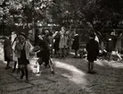 Reklam för skolkläder, Nordiska Kompaniet, 1941. Några flickor hoppar hage på skolgården.