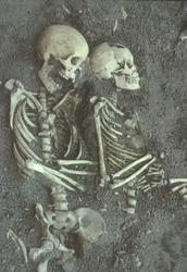 Arkeologi, svensk medeltid. Skelett hittade vid utgrävningar