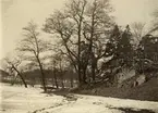 Vid Oliveberg, nära Stora Skuggan i Stockholm 1899.