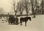 Vid Bellevue, 1901. Häst med fullastad släde.
