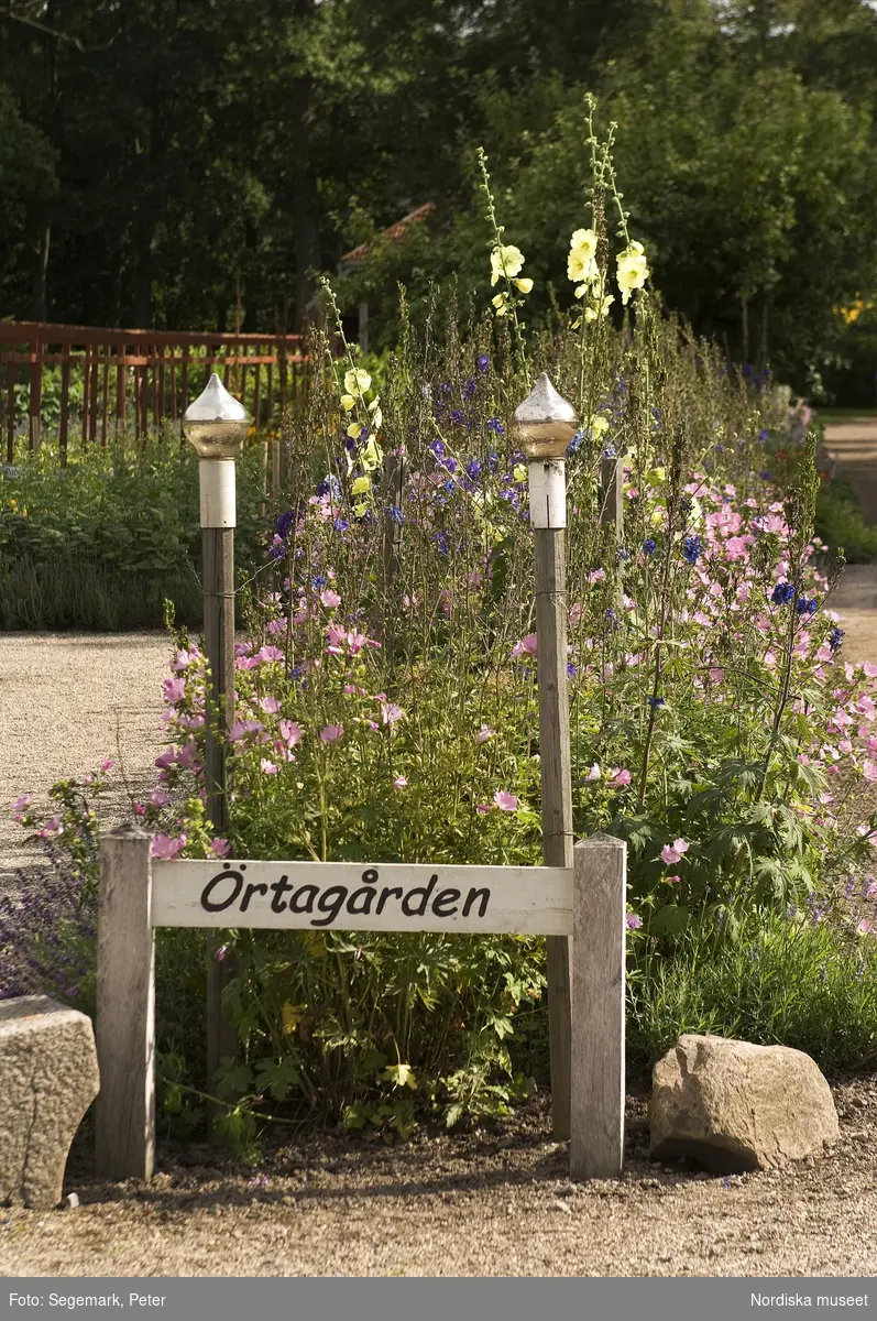 Örtagården och köksträdgården med  köksväxter och örter: Stockrosor, Ringblomma,  kål, röd- och gulbetor mm, Julita gård, sommarsäsongen 2009. 