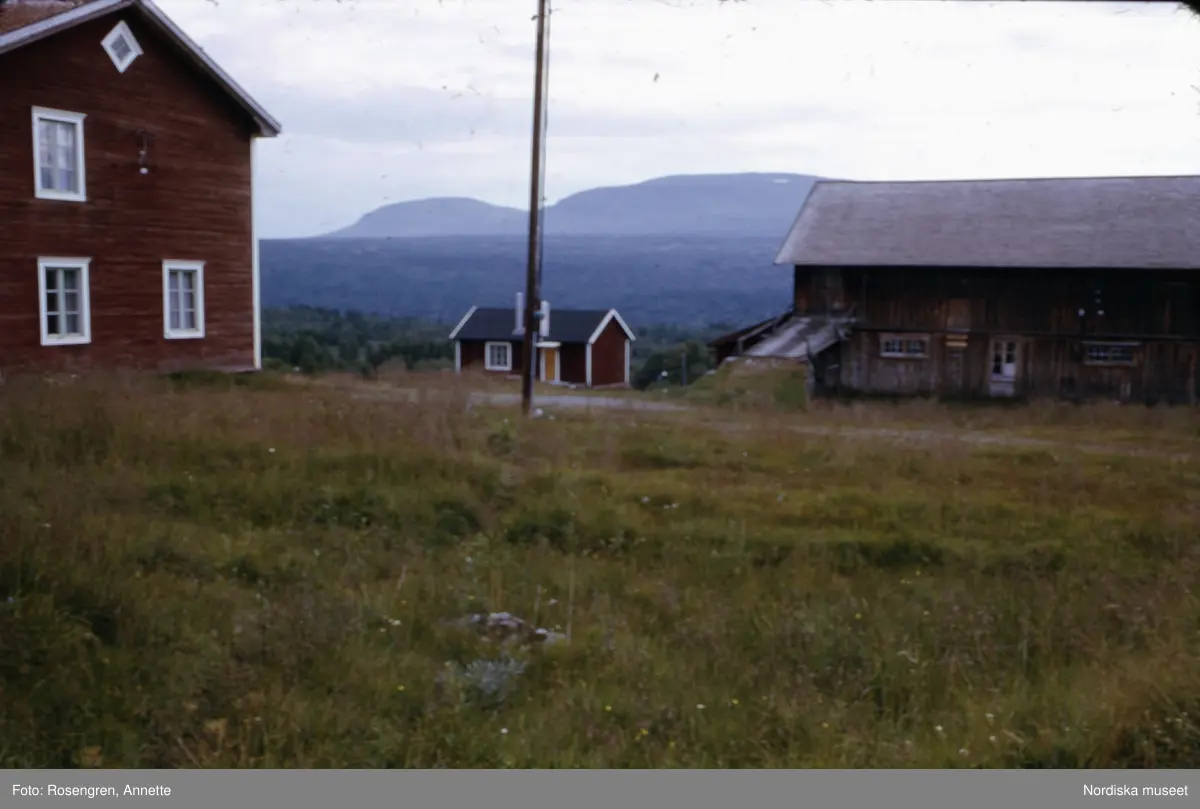 Bruksvallarna, fäbod, 1974. Byggnader, djur, människor och natur.