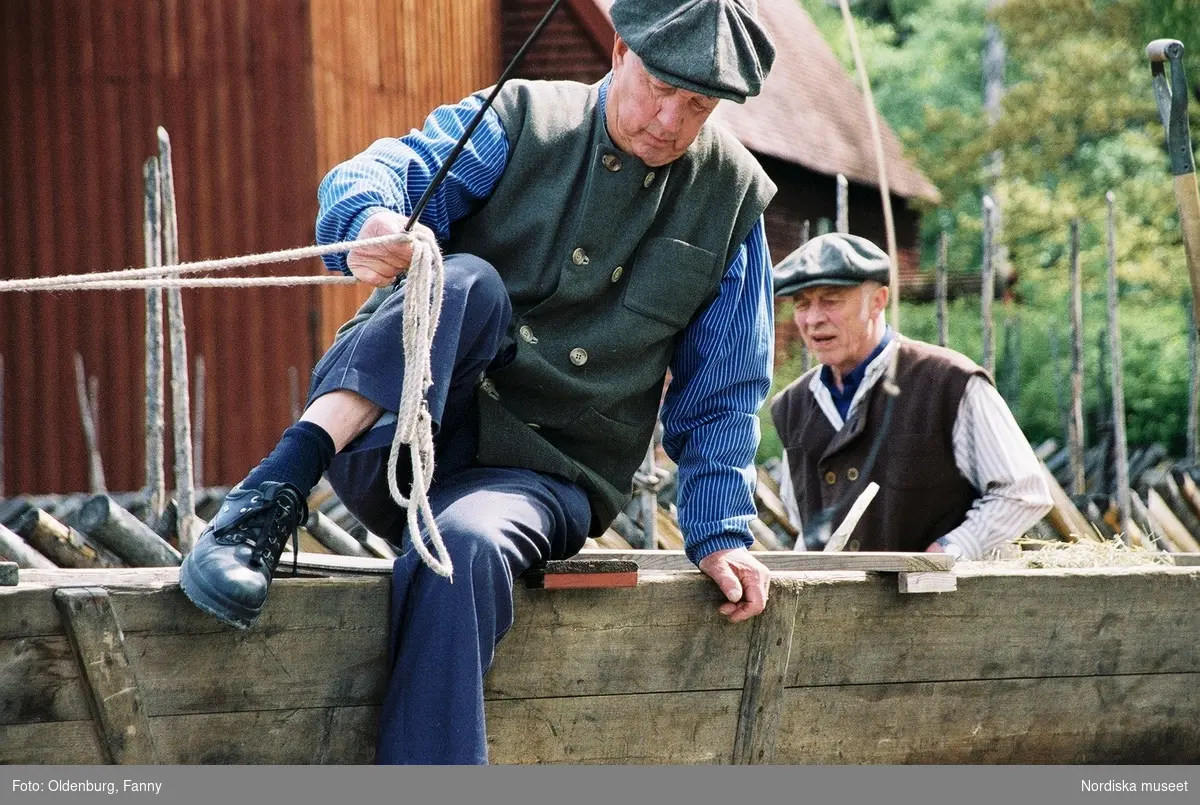 Dragoxarna Lasse och Bosse från Frödinge hembygdsförening visas upp på Skansen.