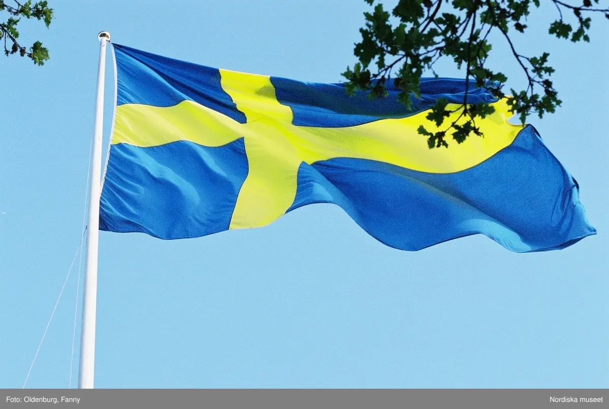 Firandet av den svenska nationaldagen den 6 juni 2004 på Skansen, Stockholm. Den kungliga familjen. Orkester. Publik. Artisterna Shirley Clamp, Tomas Ledin och Lasse Berghagen. Programledaren Agneta Bolme Börjefors.