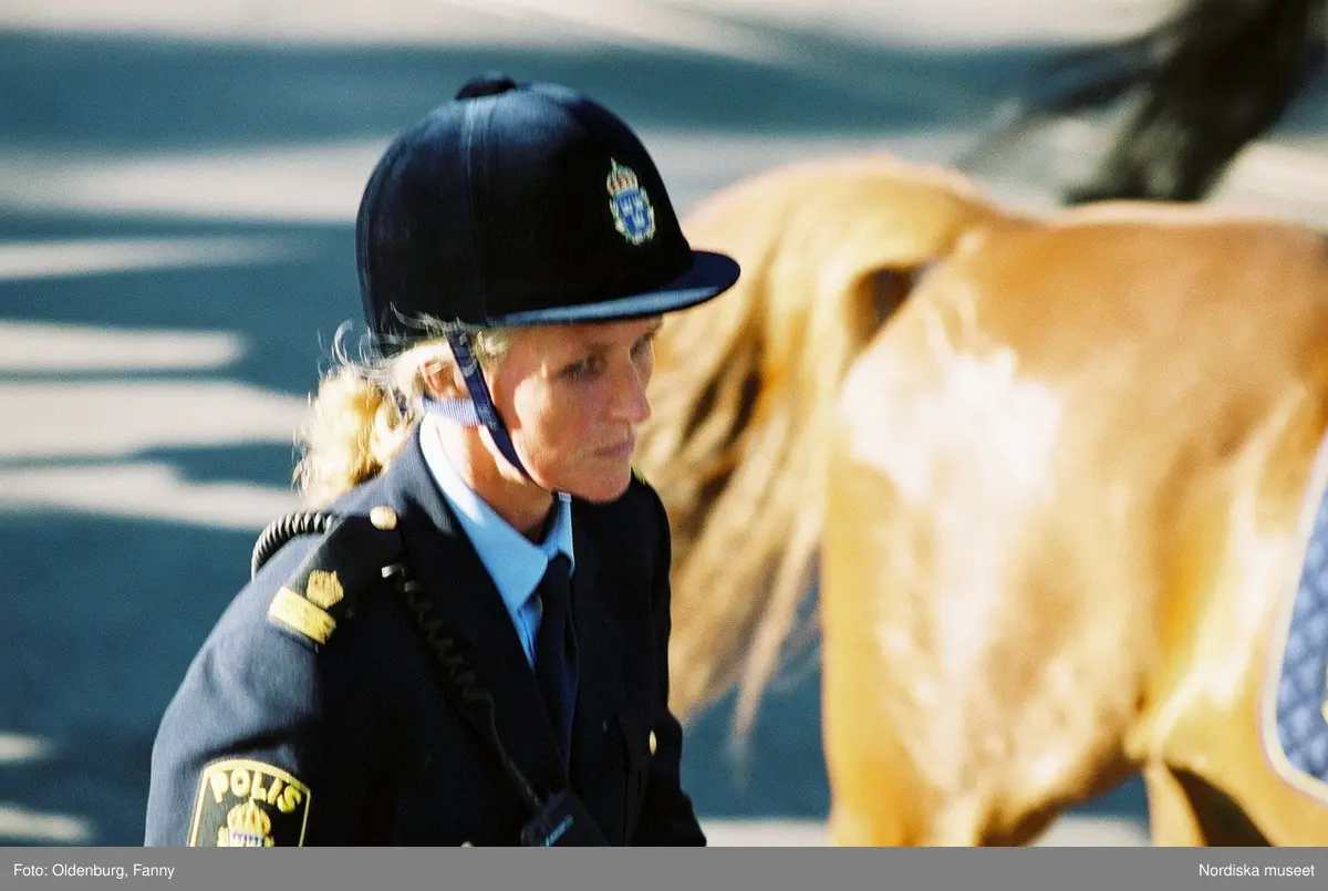 Firandet av den svenska nationaldagen den 6 juni 2004. Kortege med den kungliga familjen i hästdragna vagnar till Skansen. Kungliga Livgardets Dragonbataljon.