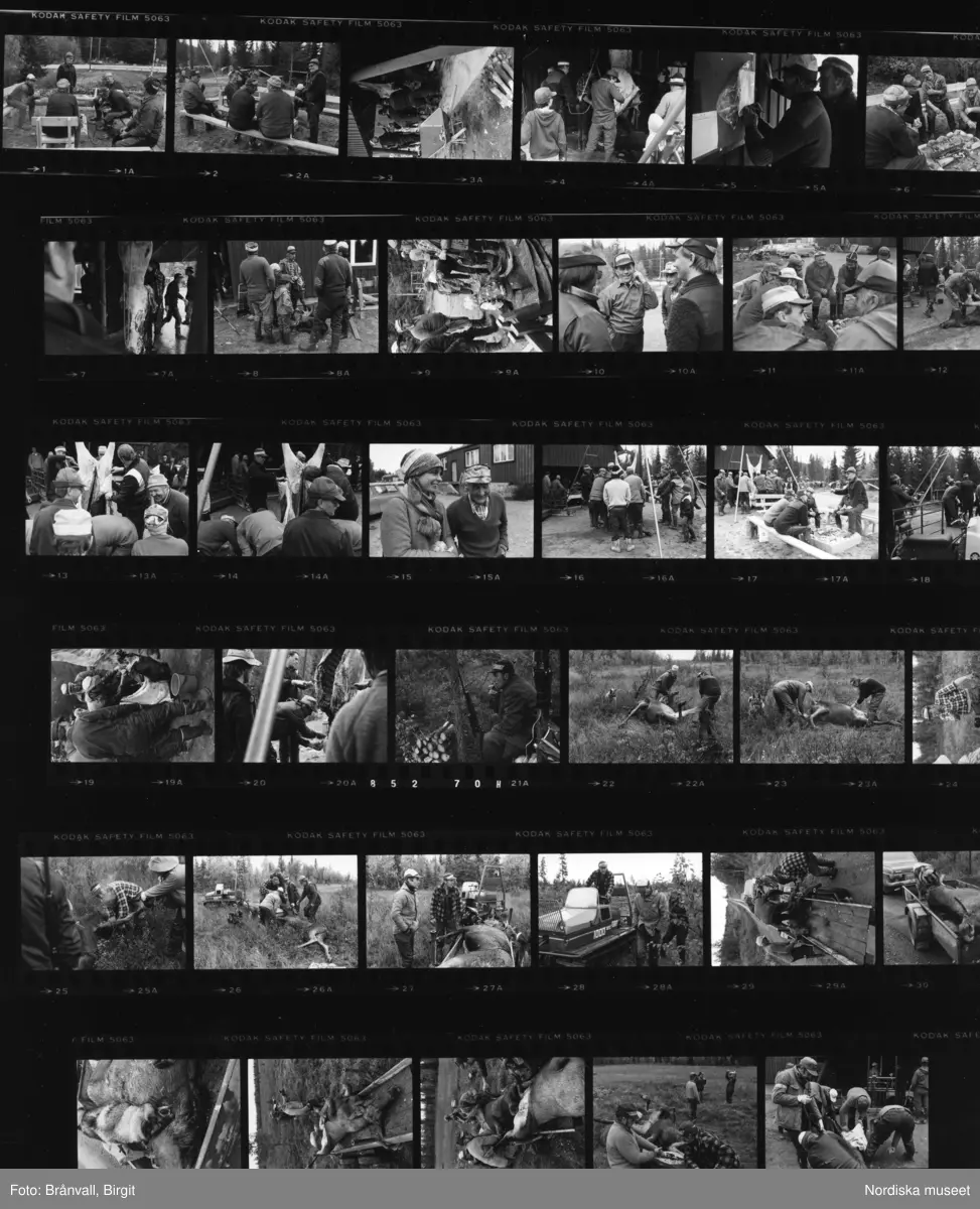 Storuman 1984. Älgjakt. Dokumentation i samband med filminspelning "Med kroppen i tärorten och själen i naturen".
