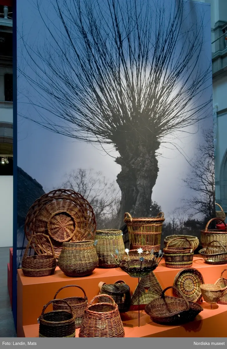 Nordiska museet utställning Sommarslöjd 2005. Korgar  pilträd Skansen, granrötter björkskog, mjärde, pilknippen