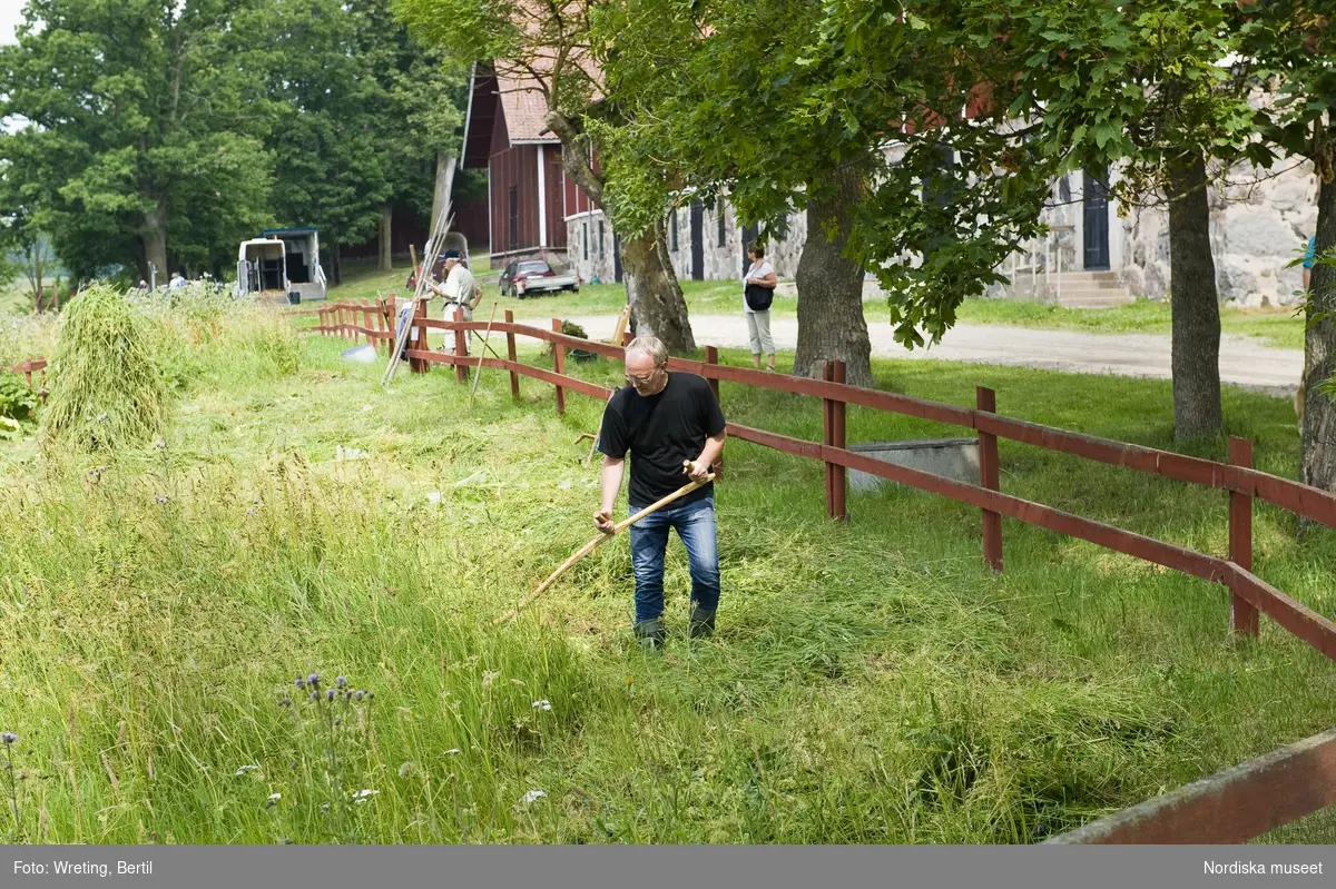 Jordbrukets dag på Julita gård. Jordbruksarbete med häst på Julita gård.