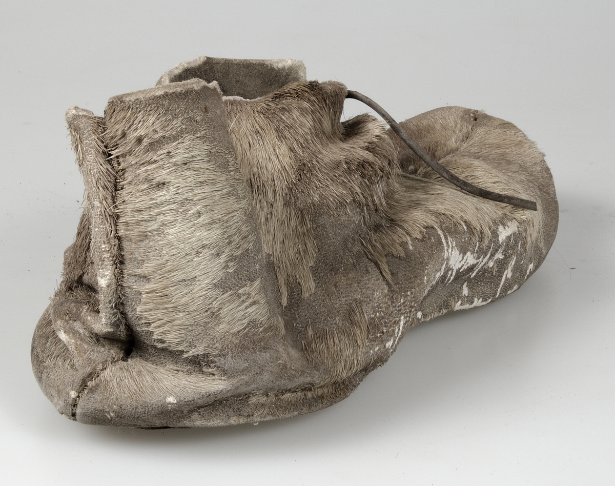 Känga tilllverkad av sälskinn som tillverkats i flera stycken. Sulan är förstärkt vid hälen av amma typ av skinn som övriga skon. Kängan stängs med hjälp av skinnremmar. Hårsidan utåt.