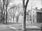 Kyrkogårdsgatan vid korsningen med S:t Olofsgatan, Fjärdingen, Uppsala 1901 - 1902