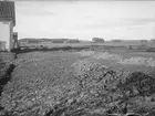 Från Stiernhjelmsgatan mot Galgbacken och Löten, yttre Svartbäcken, Uppsala 1908