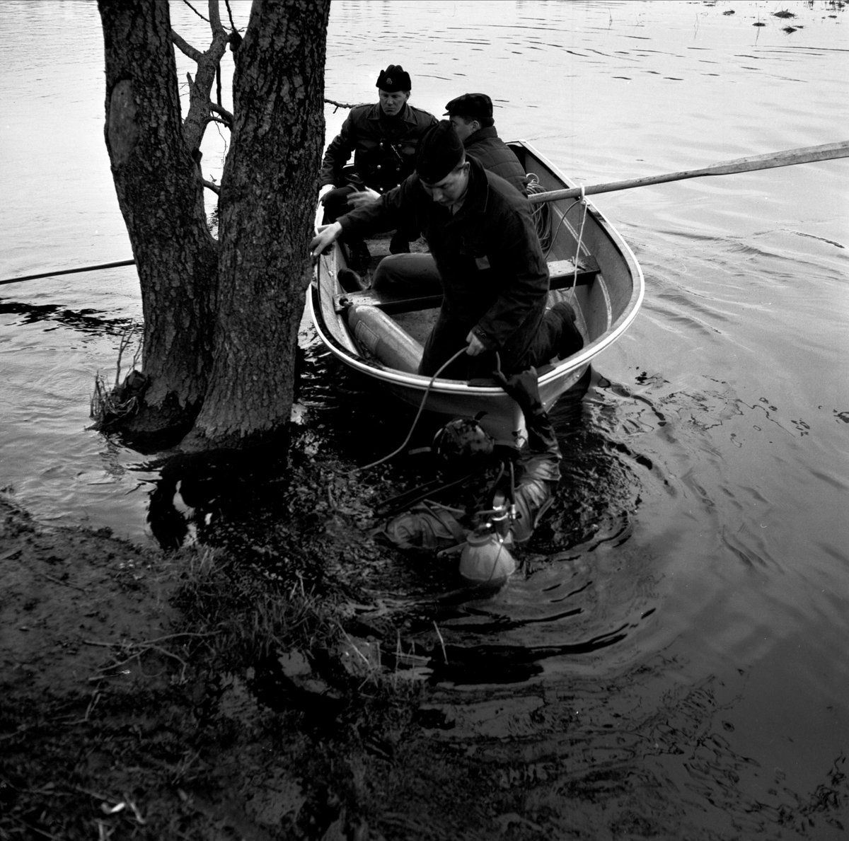 Draggning i Tämnarån, Tierp, Uppland 1967