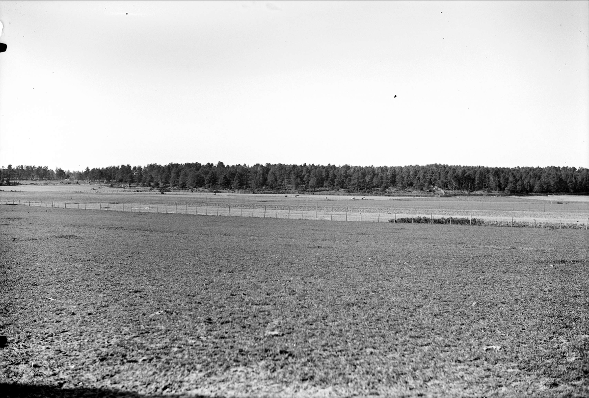 Åkermark, Hällby, Uppsala